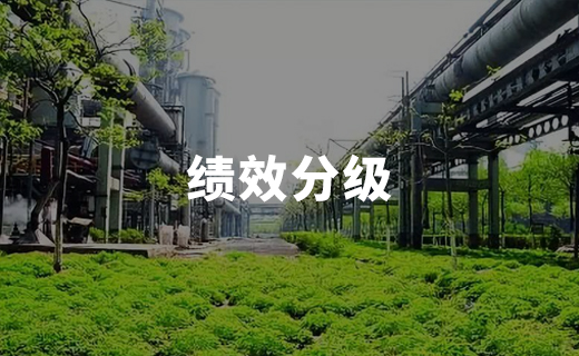 績效分級部分案例